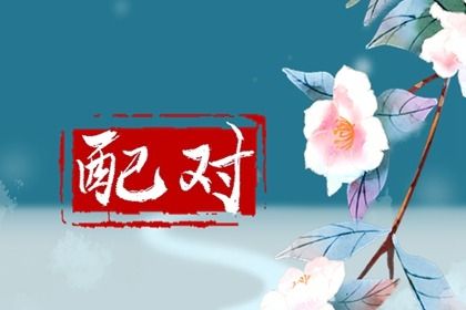 三合六合六冲在生活中的投射